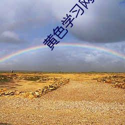 黄色学(xué)习网站