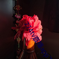 774tv直播(播)app下(下)载安装