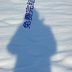 免费完结小说(說)