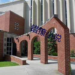 错撩小说