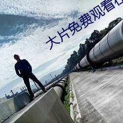 大片免费观看(kàn)在线视频