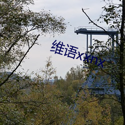 维(wéi)语xxnx