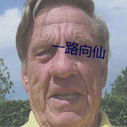 一路向仙