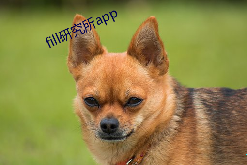 fill研究(究)所app