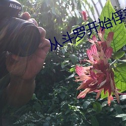从斗罗开始俘(fú)获女神
