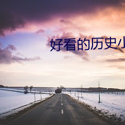 悦目的曆史小說