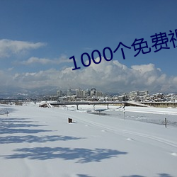 1000个(個)免费视频