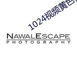 1024视频黄(黃)色视频