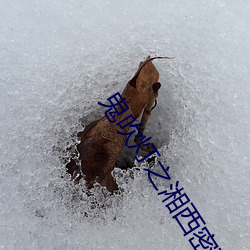 鬼(鬼)吹灯之湘西密藏影戏(影)免(免)费