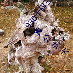 ǲ(й)ٷվ