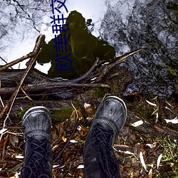 欧美群交黑人乂 乄乄乄乄9