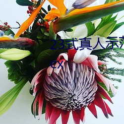 23式真(真)人示范(範)性交(交)原图 (动态).docx