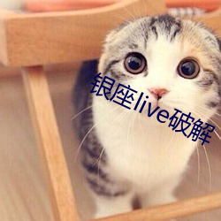 银座live破解 热土）