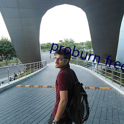 proburn free