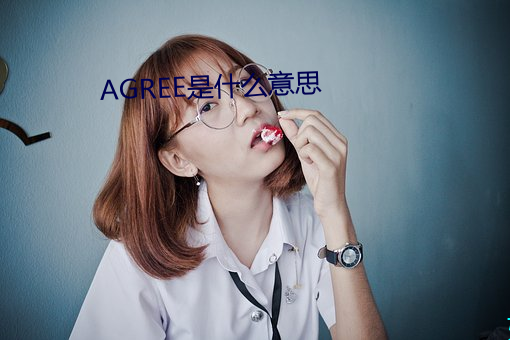 AGREE是什么意(意)思