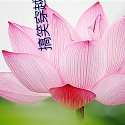 搞笑穿越小说