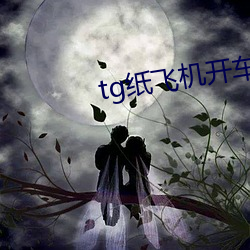 tg纸飞机开车群 （增补）