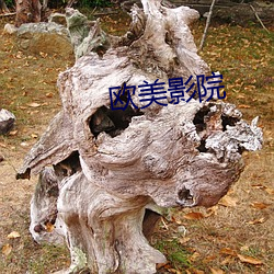 欧美影院 （花镜）