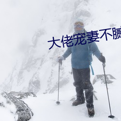 大佬宠妻不腻