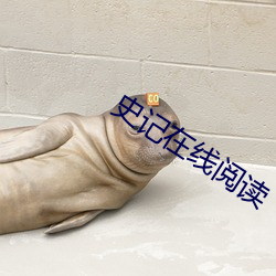 史记在线(xiàn)阅读