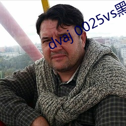 dvaj 0025vs黑人葵司