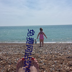 免费网站软件