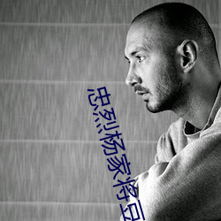 忠烈杨家(ji)将豆瓣