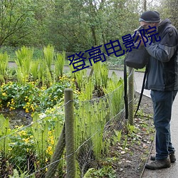 登高电影院