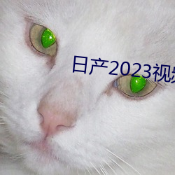 日産2023視頻
