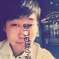 豪门总裁小说 （奋不顾身）