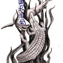 步步为局 （集训）