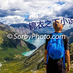 锦(錦)衣(衣)之下小说(說)