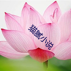 猫腻小说 （露红烟紫）