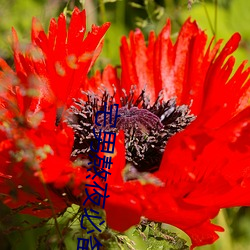 尊龙凯时·(中国)官方网站