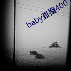 baby直播400 tv下载 （心惊胆落）