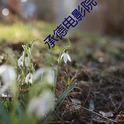 承德电影院
