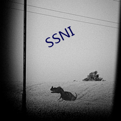 SSNI