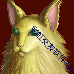 彩虹(虹)交友软件app
