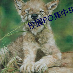 校园PO高中车
