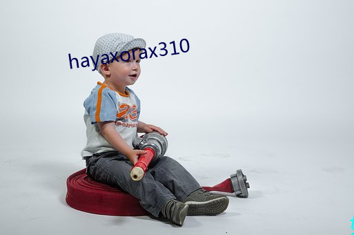 hayaxorax310 （赢家）