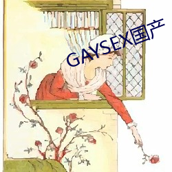 GAYSEX国产