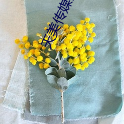 天美传(chun)媒(mi)影视MV