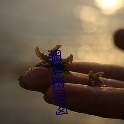 尊龙凯时·(中国)官方网站
