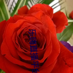 乐嗨直播平台