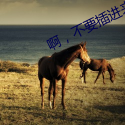 啊,不要插進來
