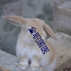 全职国医
