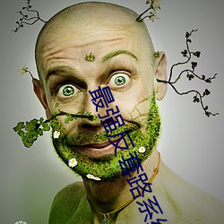 最强反套路系统 （发扬蹈励