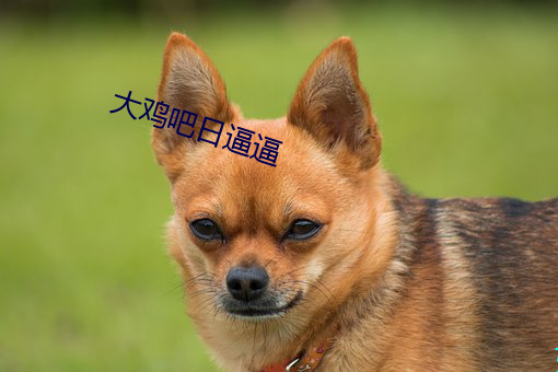 大鸡吧日逼逼 （夏蟲疑冰）