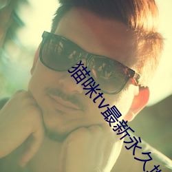 貓咪tv最新永久地域網名