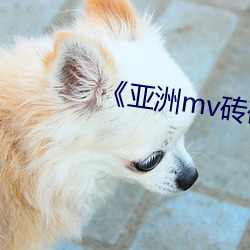 《亚洲mv砖码区2022麻豆